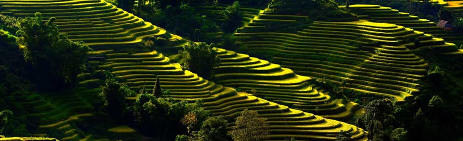 Trek à travers les rizières en terrasse au Vietnam