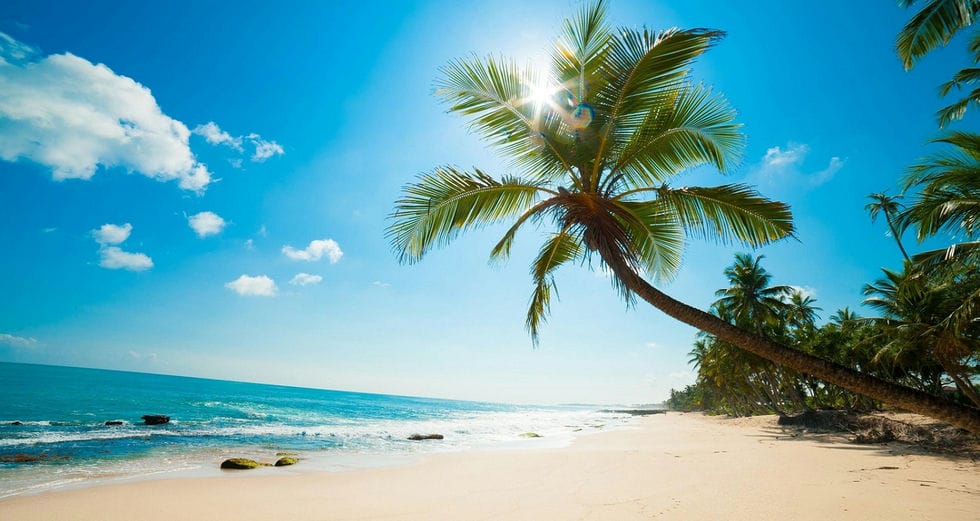 Bai sao Phu Quoc+