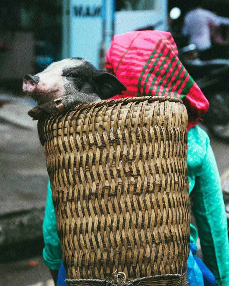 Marchés ethniques de Cao Bang