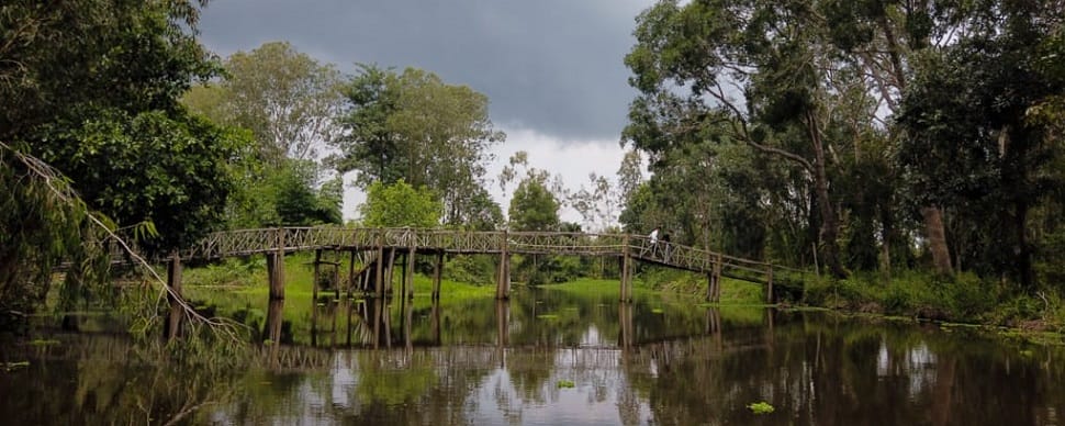 Découvrir la réserve naturelle de Lung Ngoc Hoang, près de Can Tho decouvrir_lung-ngoc-hoang