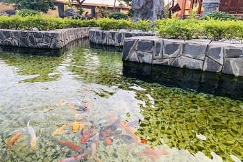 ho-tam_chua_phuoc-duyen