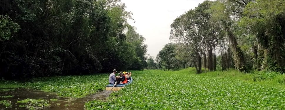 La réserve naturelle de Lung Ngoc Hoang lung-ngoc-hoang