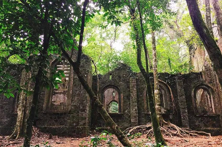 Déjeuner vietnamien traditionnel dans un restaurant local à Ba Vi