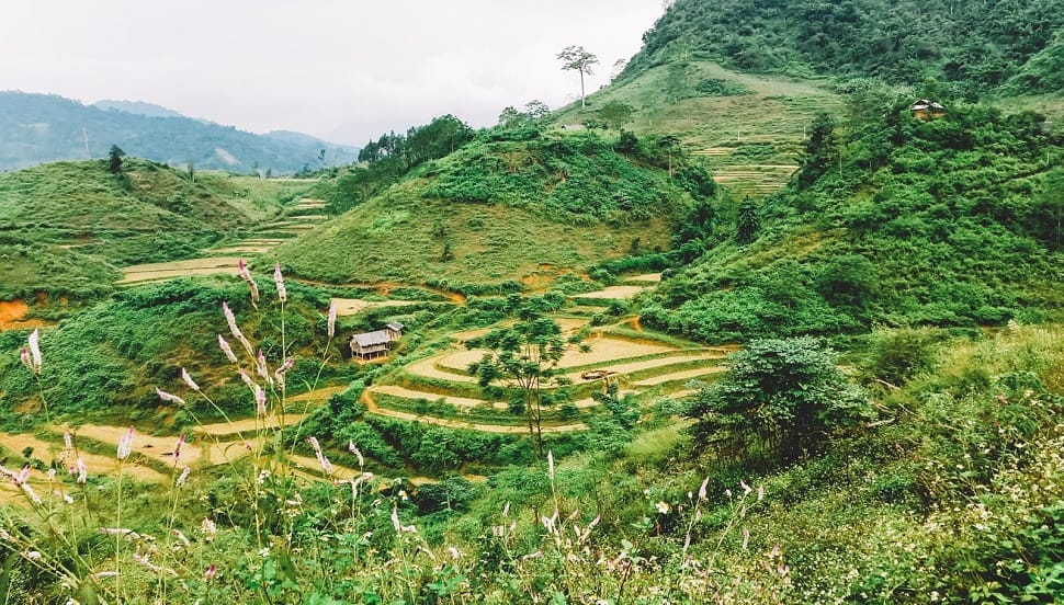 Parc National Ba Be - Nord-Est Vietnam parc_babe