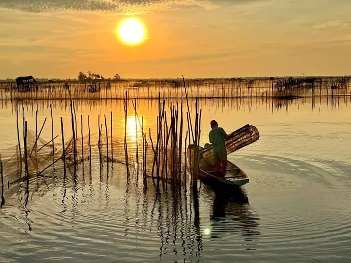 Voyager à Tam Giang