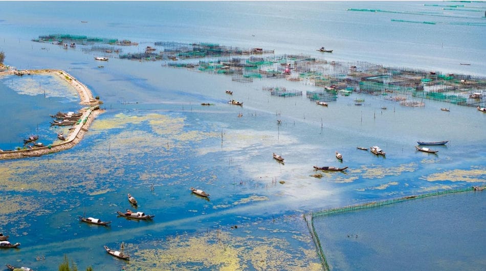 Voyager à Tam Giang