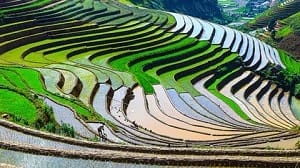 riziere_mu-cang-chai