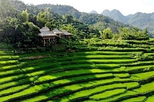 riziere_pu-luong