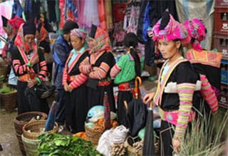 vietnam hors des sentiers battus - marche de sin ho