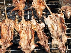 brochettes-souris-des-champs