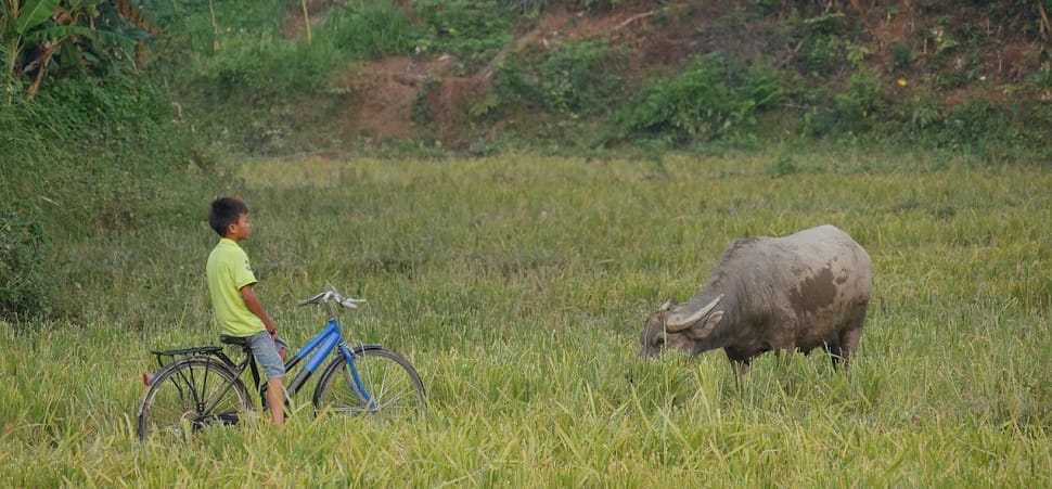 top-5-beaux-sites-à-faire-du-velo-au-vietnam-velo