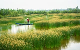 randonner dans le sud vietnam