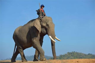 trekking hauts plateaux vietnam