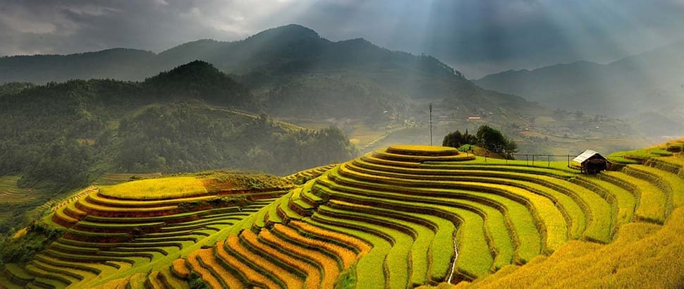 Rizieres - Hoang Su Phi rizieres-hsp