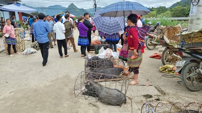 Marche ethnique nord Vietnam vente animaux 