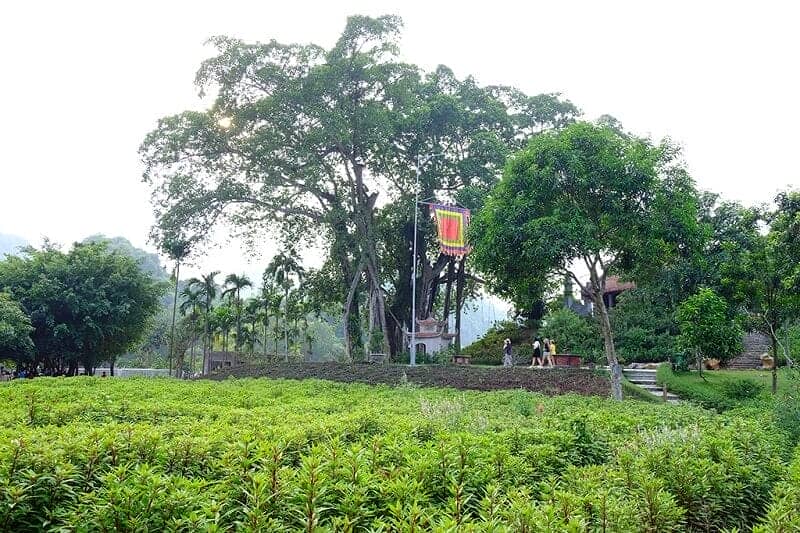 Que voir Thung Nham et alentours banian