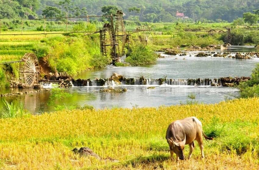 Randonnée Pu Luong Mai Chau 3 jours roue eau