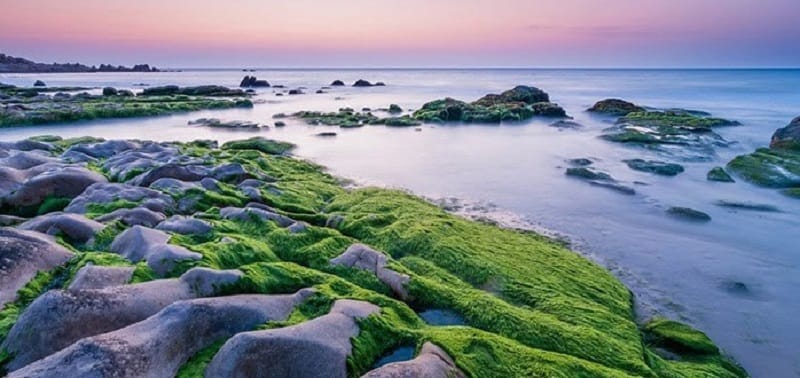 Phan Thiet - Plage Co Thach phan-thiet_plage_co-thach