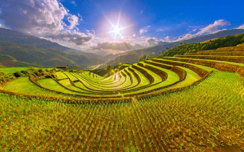 Les Rizières en Terrasses de Mu Cang Chai